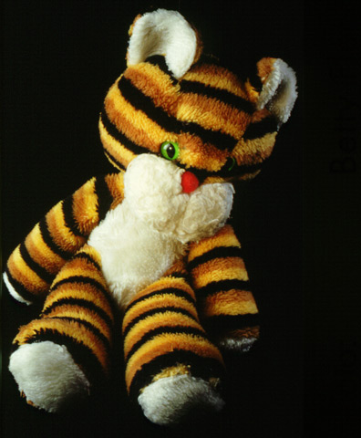 C 1: Object/ cuddly tiger